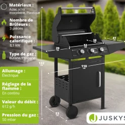 BBQ Gasgrill Louisiana