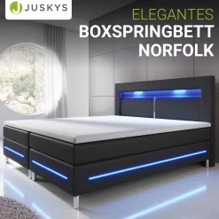 Boxspringbett Norfolk - Kunstleder