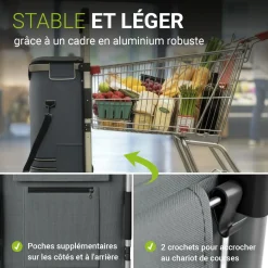 Einkaufstrolley Treppensteiger
