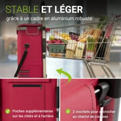 Einkaufstrolley Treppensteiger