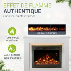 Elektrischer Kamin