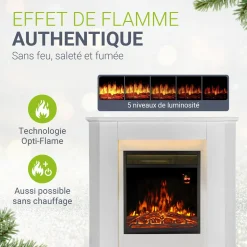 Elektrischer Kamin