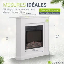 Elektrischer Kamin