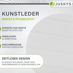 Freischwinger Stuhl Vegas mit Kunstleder