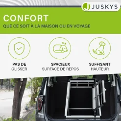 Hundebox Auto