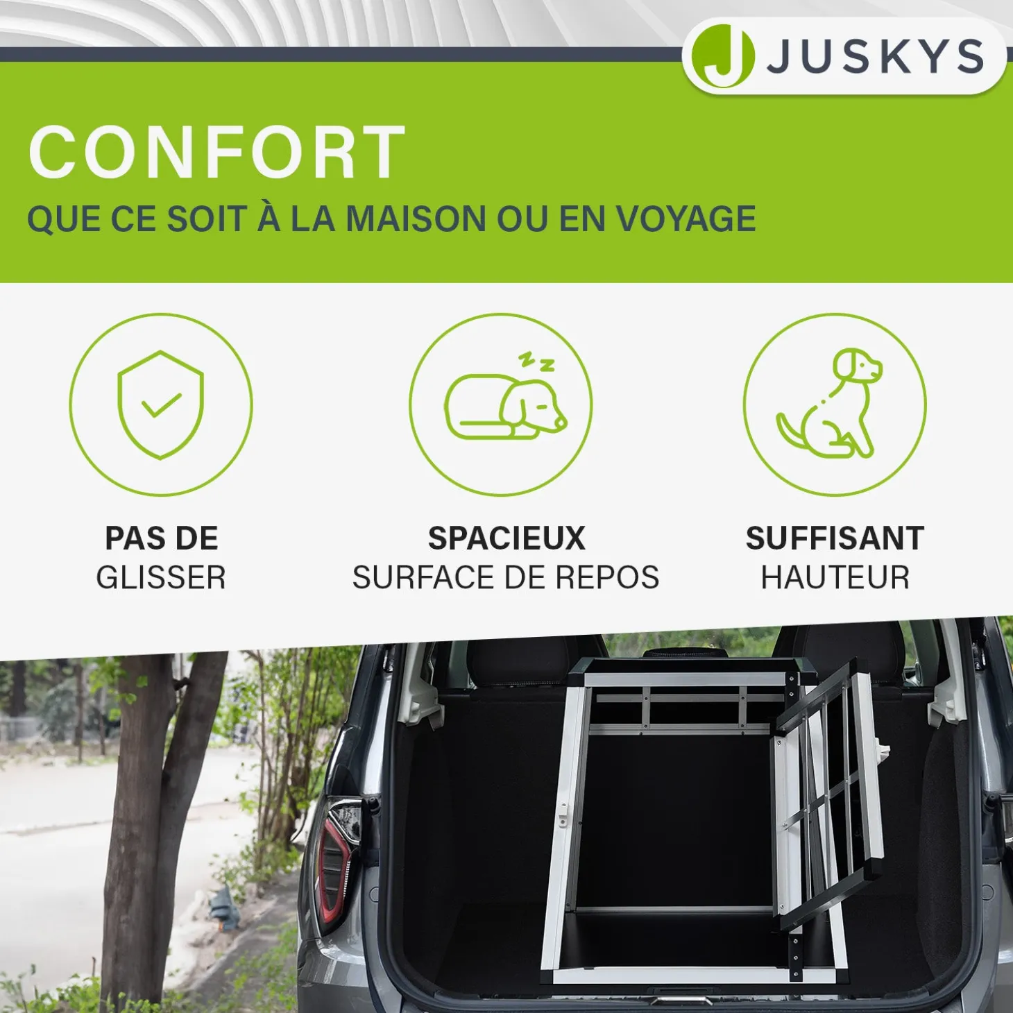 Hundebox Auto