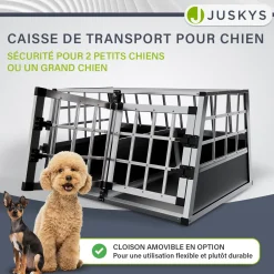 Hundebox Auto