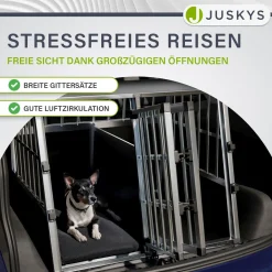 Hundebox Auto