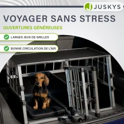 Hundebox Auto