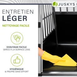 Hundebox Auto
