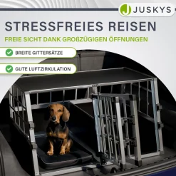 Hundebox Auto