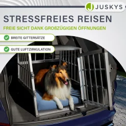 Hundebox Auto