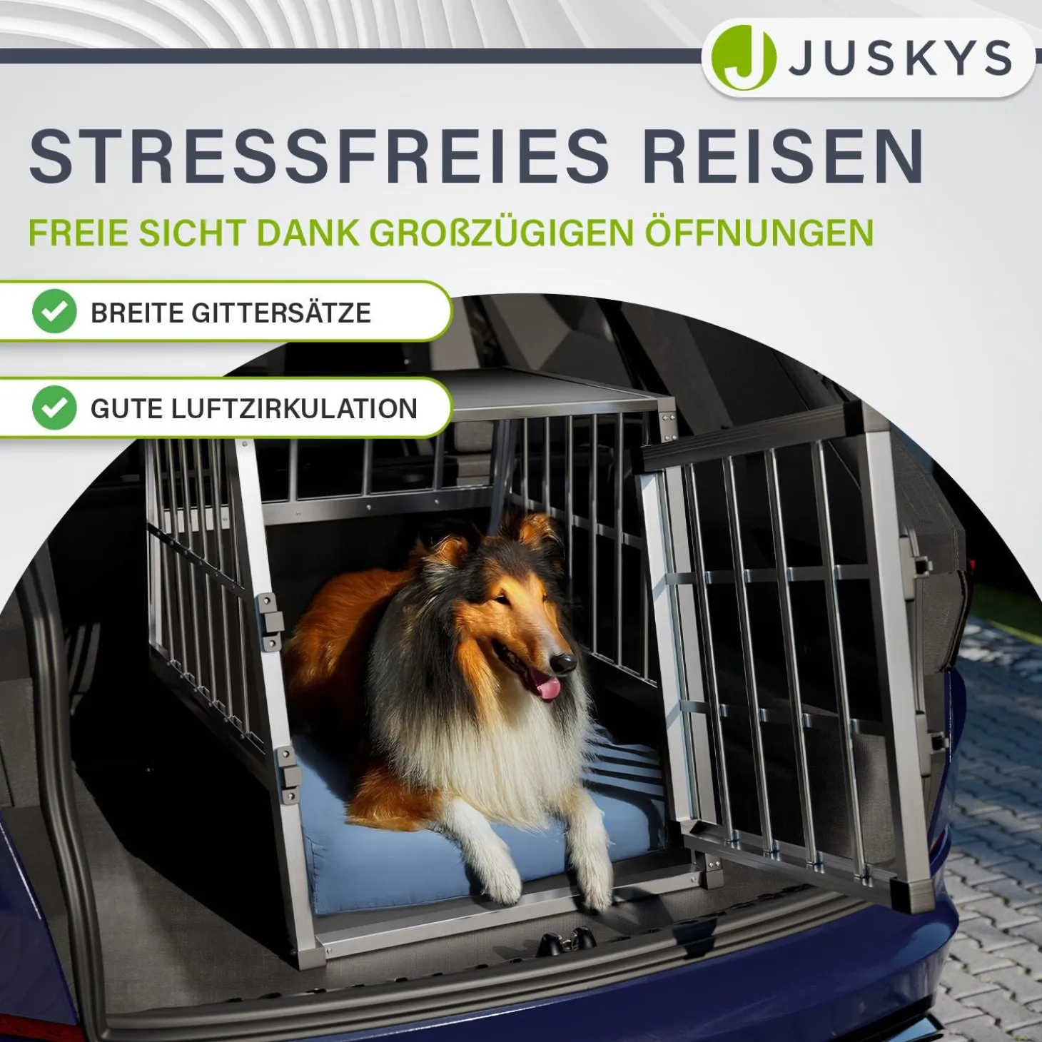 Hundebox Auto