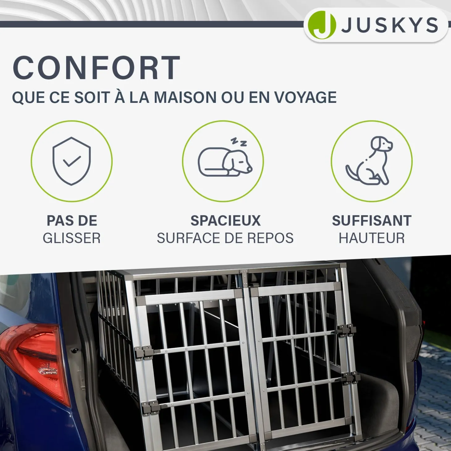 Hundebox Auto