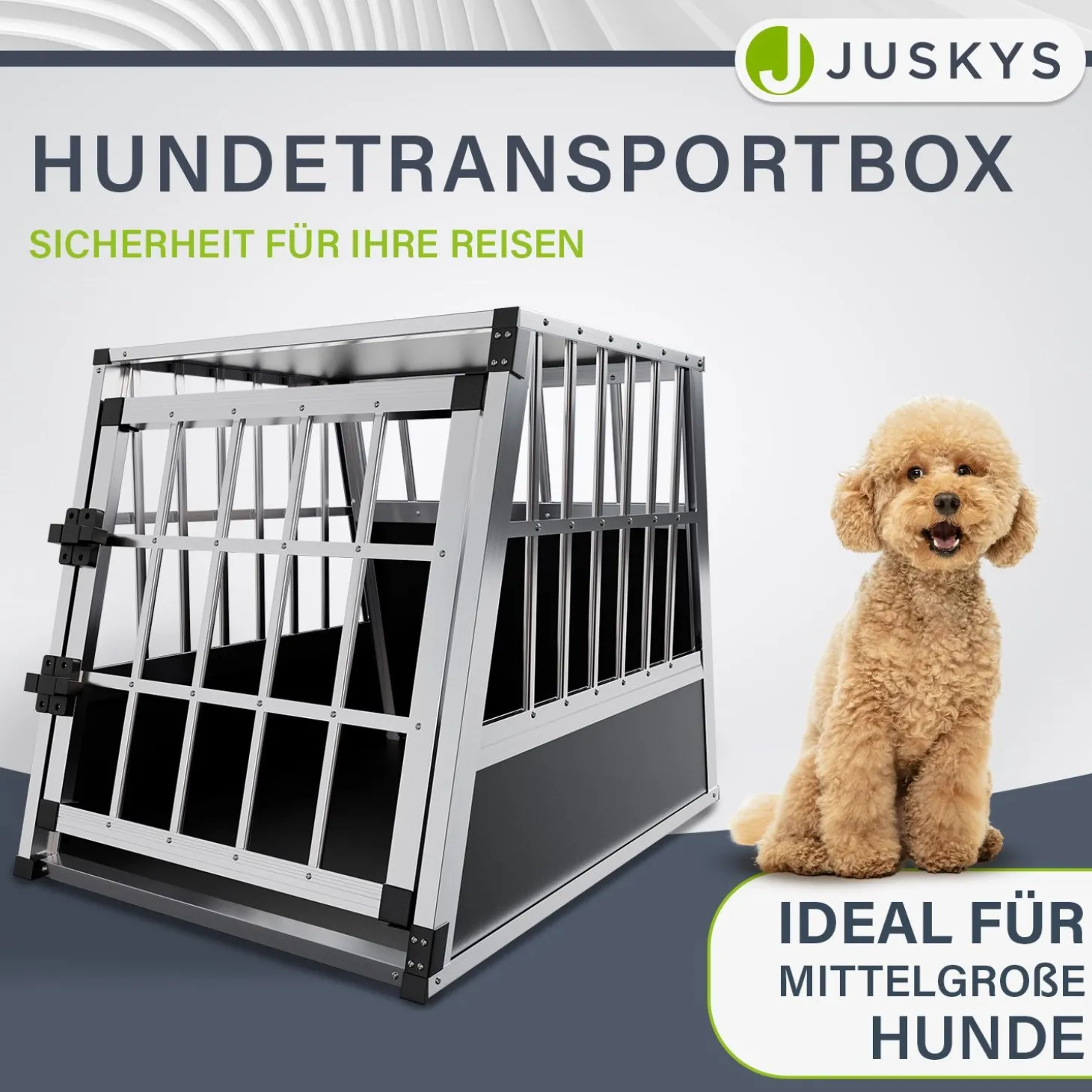 Hundebox Auto