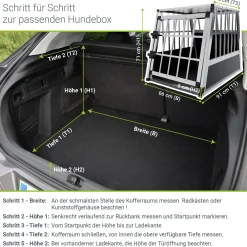 Hundebox Auto