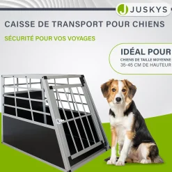 Hundebox Auto