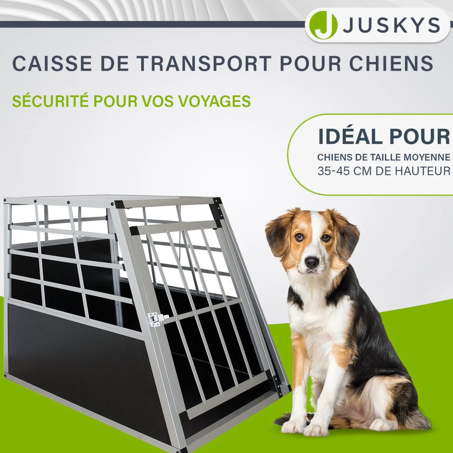 Hundebox Auto