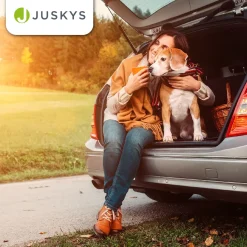 Hundebox Auto faltbar Lassie